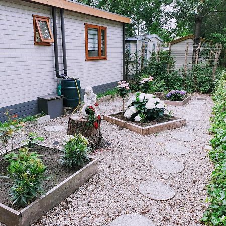 Chalet 58 "Pollie" Hattemerbroek Dış mekan fotoğraf
