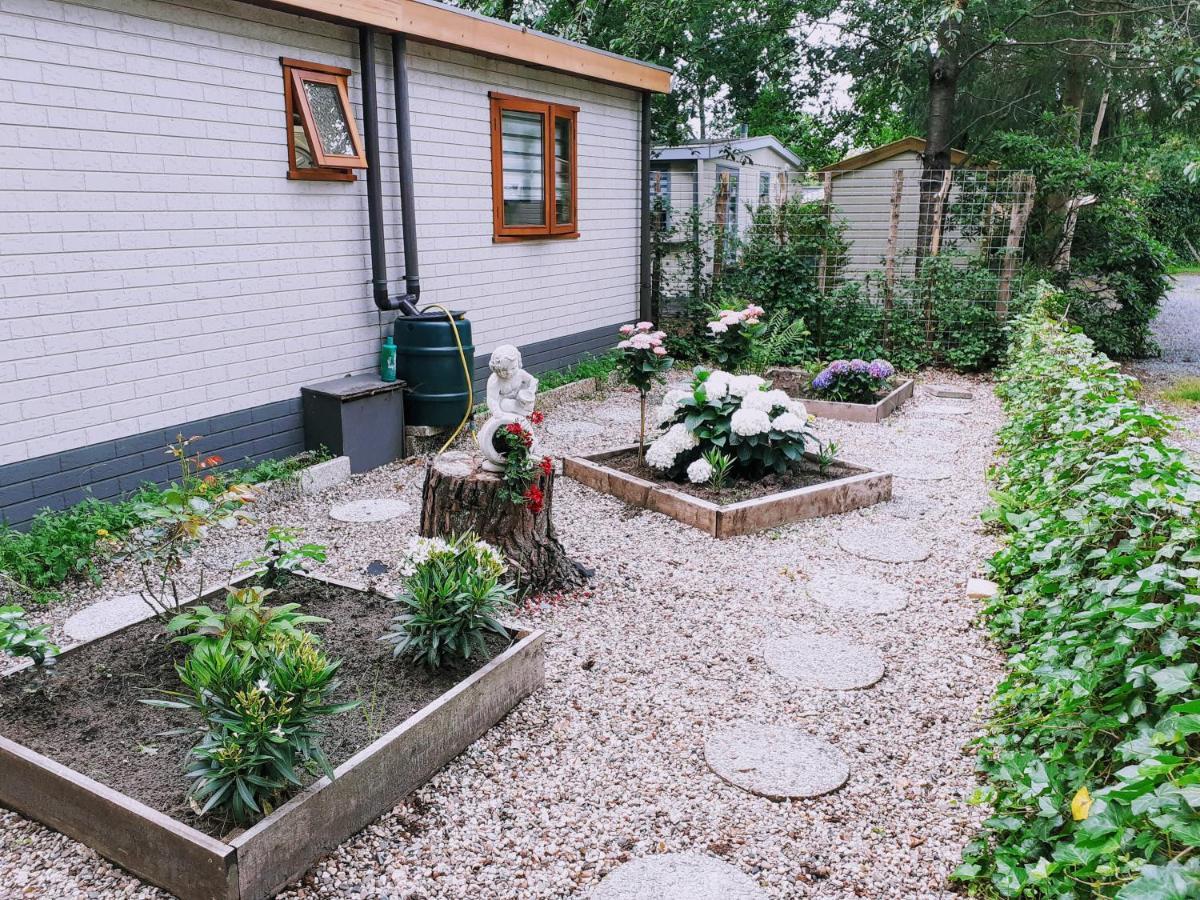 Chalet 58 "Pollie" Hattemerbroek Dış mekan fotoğraf